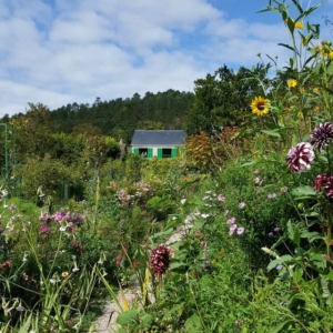 Erwachsene Erwachsene