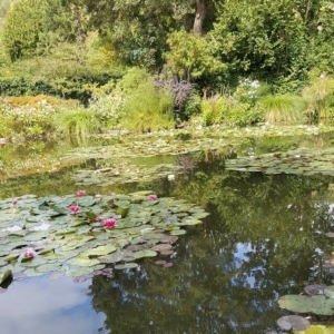 Erwachsene Erwachsene