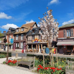 Erwachsene Erwachsene